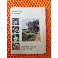 Экскурсия в природу. Лекарственные растения. Набор 24 открытки. 1977 год. Выпуск 2