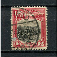 Португальские колонии - Мозамбик (Comp de Mocambique) - 1925 - Сизаль, плантации 80С - [Mi.164] - 1 марка. Гашеная.  (Лот 68DX)-T2P26