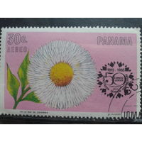 Панама 1966 Цветок