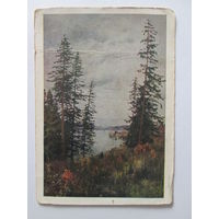 Почтовая карточка 1958 г. "И.И. Левитан "На севере". Государственная Третьяковская галерея.