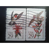 США 1992 колибри