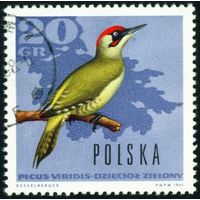 Лесные птицы Польша 1966 год 1 марка