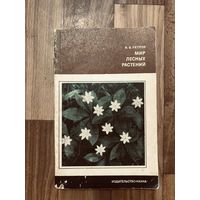 Петров Мир лесных растений (издательство Наука, 1978 год)