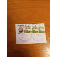 Беларусь вырезка смешанная франкировка разными выпусками марки 200 рублей на блестящей (редкая) и простой бумаге (2-2)