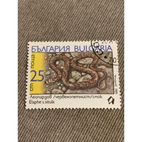 Болгария 1989. Змеи. Elaphe s. situla. Марка из серии