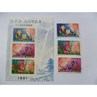Корея, цветы