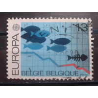 Бельгия 1986 Европа, защита окружающей среды