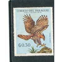 Парагвай. Птицы латинской Америки