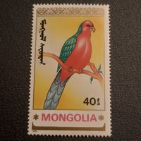 Монголия 1990. Фауна. Птицы. Попугай. Марка из серии