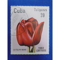 Куба 1982 г. Цветы.