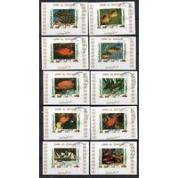 Рыбы Умм-эль-Кайвайн ОАЭ 1973 год серия из 16 люкс блоков