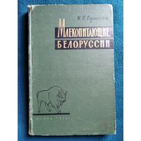 И.Н. Сержанин  Млекопитающие Белоруссии.  1961 год