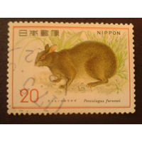 Япония 1974 фауна