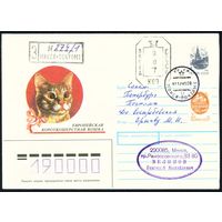 СССР 1990-1991 гг Художественный маркированный конверт ХМК с провизориями Европейская короткошерстная кошка