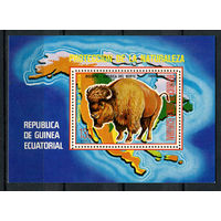 Экваториальная Гвинея - 1977 - Животные Северной Америки - [Mi. bl. 271] - 1 блок. MNH.