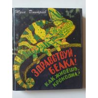 Дмитриев Ю. Здравствуй, белка! Как живешь, крокодил?