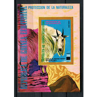 Экваториальная Гвинея - 1977 - Животные Северной Америки - [Mi. bl. 272] - 1 блок. MNH.