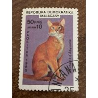 Мадагаскар 1985. Домашние кошки. Абессинская. Марка из серии