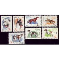 7 марок 1965 год Собаки 3073-3079
