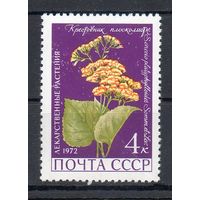 Лекарственные растения СССР 1972 год 1 марка