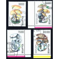 Грибы Беларусь 1999 год (341-344) серия из 4-х марок