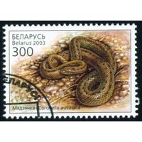 Рептилии Беларусь 2003 год (503) 1 марка