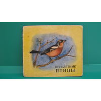 Буклет "Перелетные птицы", СССР.
