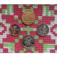 Северный Кипр набор монет 1, 5, 10, 20 куруш, UNC. Турецкая Республика Северного Кипра.