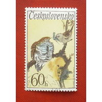 Чехословакия. Птицы. ( 1 марка ) 1972 года. 3-1.