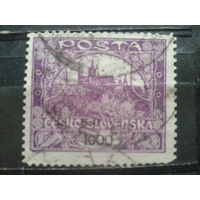 Чехословакия 1919  Стандарт 1000Н концевая