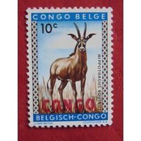 Бельгийское Конго - 1959 г. Антилопа. Надпечатка.