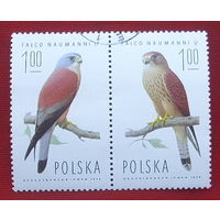Польша. Хищные птицы. ( 2 марки ) 1974 года. 2-20.