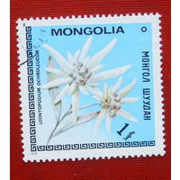 Монголия. Цветы. ( 1 марка ) 1979 года. 10-16.