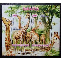 Марки - фауна жирафы Чад 2011 блок