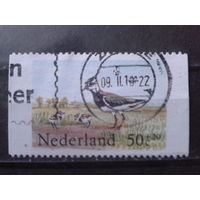 Нидерланды 1984 Птицы, рулонная марка