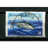 Бермуды (Заморская Территория Великобритании) - 1972 - Желтопёрый тунец 18С - [Mi.283] - 1 марка. Гашеная.  (Лот 46AP)