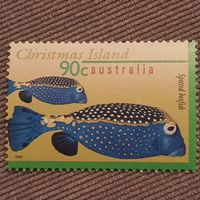 Австралия. Остров Рождества 1996. Фауна. Рыбы. Spotted Boxfish