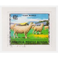 Монголия 1971 Овцы на пастбище