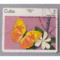 Бабочка, 1984, Куба