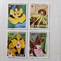 Куба 1980. Флора. Орхидеи