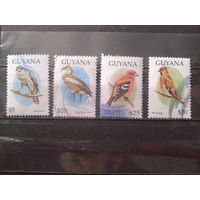 Гайяна 1995 Стандарт, птицы