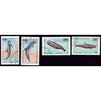4 марки 1984 год Куба Дельфины 2828,2830-2832