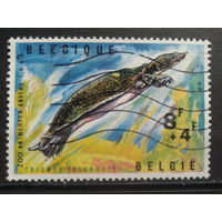 Бельгия 1965 Черепаха, марка из блока