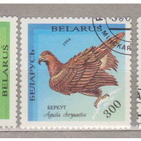 Птицы Фауна Беларусь 1994 год лот 1077