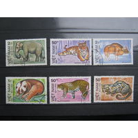 Марки - фауна, Вьетнам, тигр, слон, буйвол, коала, дикие кошки и др.