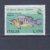 [188] Италия 1978. Фауна.Рыбы. Гашеная марка.