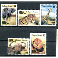 Куба - 2005г. - Животные национального зоологического сада - полная серия, MNH [Mi 4724-4728] - 5 марок