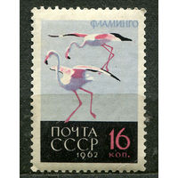 Фауна. Фламинго. 1962. Чистая