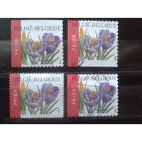 Бельгия 2002 Крокусы, полный комплект разновидностей из буклета Михель-2,0 евро гаш