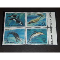 СССР - США 1990 Совместный выпуск. Морская фауна (дельфин, касатка, сивуч, калан). Чистый квартблок